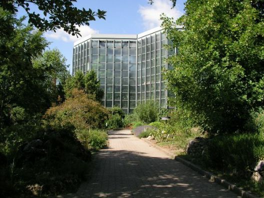 Der Botanische Garten in T�bingen, ein guter Platz zum Nachdenken