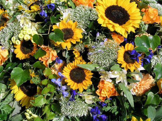 Blumengrüße aus Tübingen