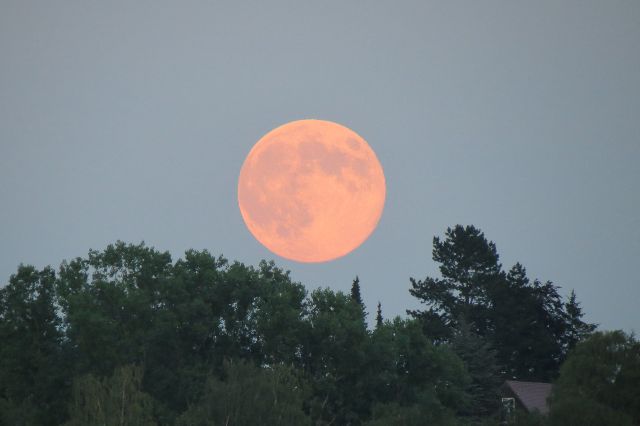 Vollmond über dem Österberg in Tübingen